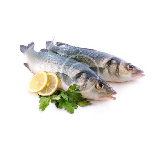 Tiger Trout