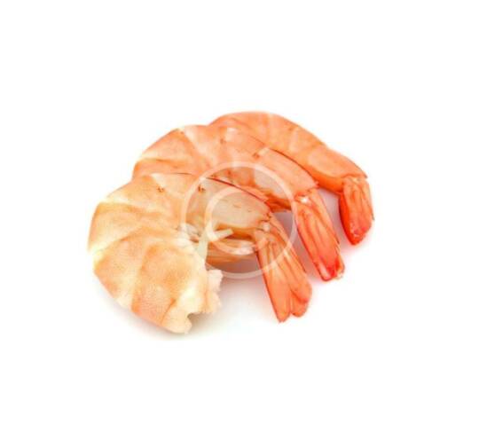 Shrimp